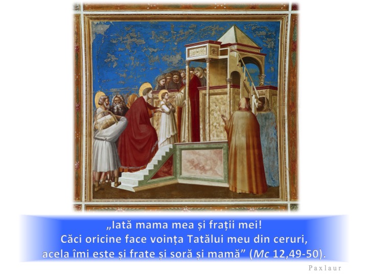 Giotto, Aducerea Fecioarei Maria în Templul din Ierusalim