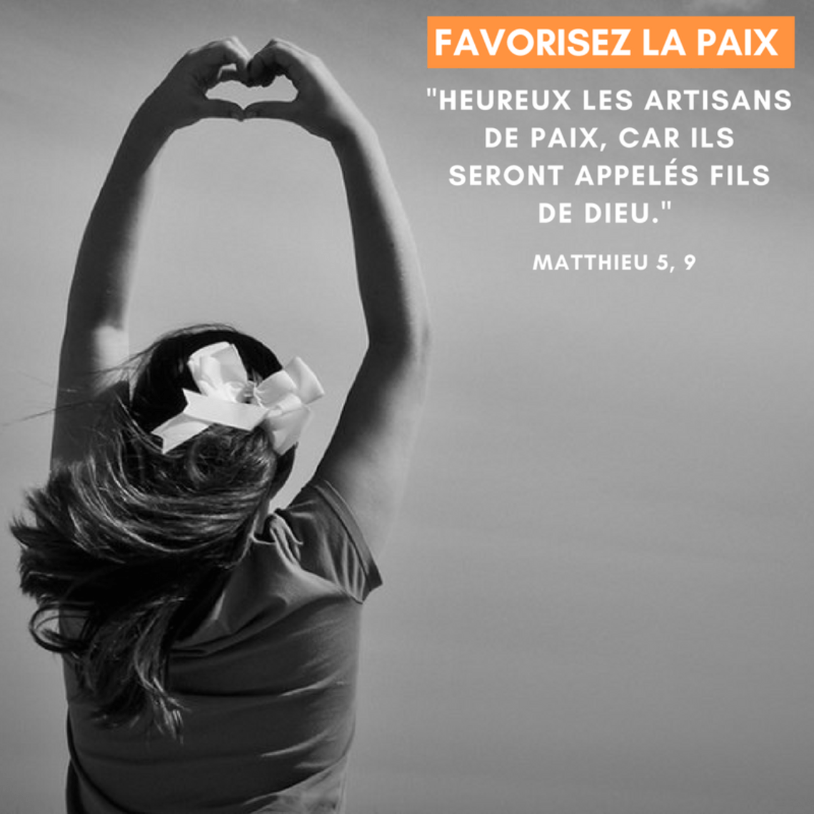 Facatorii de pace.png