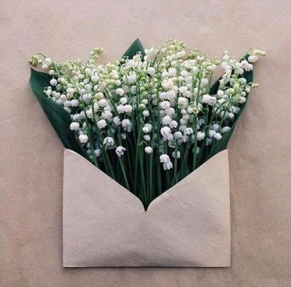 primavara flori lacrimioare