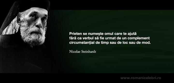 prietenia steinhardt